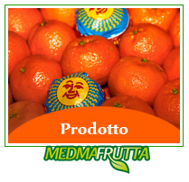 prodotto