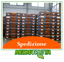 spedizione