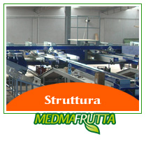 struttura